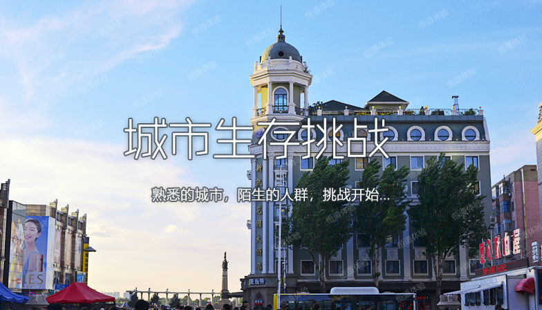 城市生存挑战